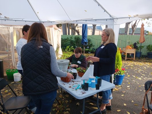 Succulent Centerpiece Class - We'll be offering a similar Succulent Centerpiece Workshop this year on November 2nd from 10:30am to 12pm.  Bring a friend or two and use your creativity to get ready for a special, living, holiday table centerpiece!