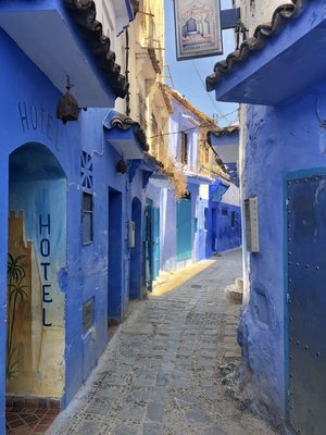 A quick peek into the type of adventures I can help you experience! - These are some photos form my personal travels. I’ve been to 40 countries, 6 continents and my mission is to get you on the trip you desire! I can carefully curate an itinerary specific to your wants and needs so you have the best trip for YOU!