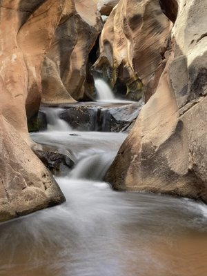 Custom Project - Embark on an unforgettable adventure through the awe-inspiring desert landscapes of Capitol Reef National Park and surrounding areas. Our exclusive tailored tour offers you a personal experience, taking you to off the beaten path to explore the park's most stunning and secluded spots. Sometimes you need more time to see something you missed, heard about or have a personal interest in. We can help tailor that tour for you. 4 guests per vehicle maximum Custom Project - Embark on an unforgettable adventure through the awe-inspiring desert landscapes of Capitol Reef National Park and surrounding areas. Our exclusive tailored tour offers you a personal experience, taking you to off the beaten path to explore the park's most stunning and secluded spots. Sometimes you need more time to see something you missed, heard about or have a personal interest in. We can help tailor that tour for you. 4 guests per vehicle maximum