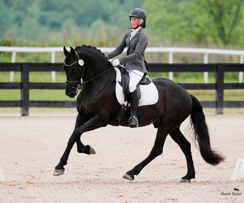 Fun times with students and horses - At Unity Horsemanship, we believe that riding is a privilege—not a right. Our mission is to help riders build deep, respectful partnerships with their horses—not just compliance, but connection.

Through a thoughtful blend of natural horsemanship, classical dressage, and positive reinforcement, we create an environment where both horse and rider enjoy learning together. Whether you're a beginner or an experienced equestrian, our approach focuses on kindness, clarity, and joyful progress.

Discover what it feels like to ride with true unity.