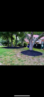 Black mulch installation - We installed professionally here at this project. We cleaned all the beds and killed the weeds as necessary, we gave him a personal quote and some discounts because he was nearby our shop and the installations had some perks to it so it was a win-win situation. Call us for a free personal quote!