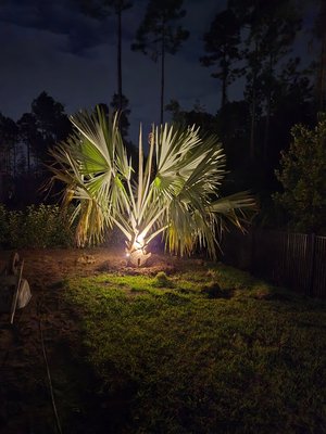 new landscape lighting installation 2024 - This is a new landscape lighting project that we just completed. new landscape lighting installation 2024 - This is a new landscape lighting project that we just completed.