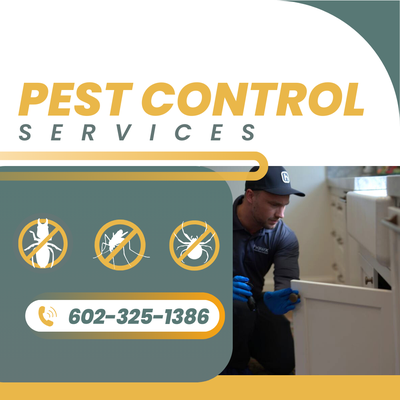 Pest Control Services - 📞 Schedule service now: (602) 325-1386
Pests don’t just go away on their own—you need experts who know how to stop them for good. At Hawx Pest Control, we combine fast response times, proven methods, and top-quality products to eliminate infestations and build a lasting shield around your property. Whether it’s your home or business, we make sure pests are gone today and stay gone tomorrow. Pest Control Services - 📞 Schedule service now: (602) 325-1386
Pests don’t just go away on their own—you need experts who know how to stop them for good. At Hawx Pest Control, we combine fast response times, proven methods, and top-quality products to eliminate infestations and build a lasting shield around your property. Whether it’s your home or business, we make sure pests are gone today and stay gone tomorrow.