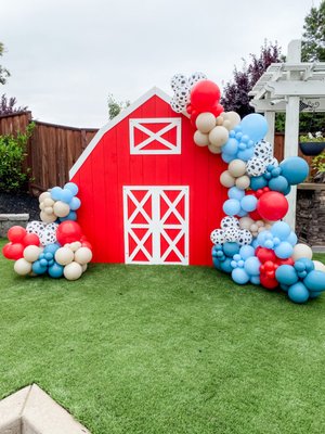 Balloon Installations - Click the link below to discuss your vision with me today! Balloon Installations - Click the link below to discuss your vision with me today!
