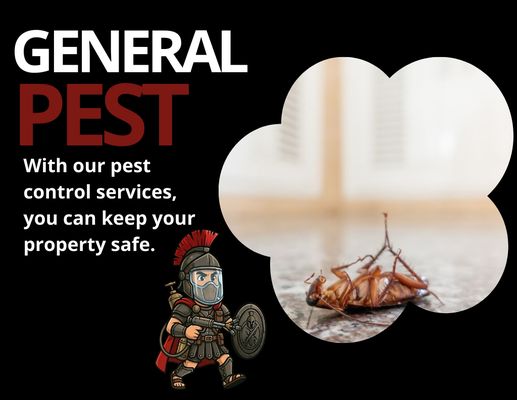 Attic Pest Removal - Spartan Pest Control can assist if you have a rodent issue. We have been delivering top-notch rodent control services for the industry for 15 years. In the Pasadena, CA, region, we are a locally owned and operated company that offers comprehensive and adaptable rat exterminator, rat control, and mouse control services to residential and commercial customers. Our highly trained professionals utilize only the best materials to guarantee your protection from rodents and other unwelcome visitors inside your homes or places of business. Attic Pest Removal - Spartan Pest Control can assist if you have a rodent issue. We have been delivering top-notch rodent control services for the industry for 15 years. In the Pasadena, CA, region, we are a locally owned and operated company that offers comprehensive and adaptable rat exterminator, rat control, and mouse control services to residential and commercial customers. Our highly trained professionals utilize only the best materials to guarantee your protection from rodents and other unwelcome visitors inside your homes or places of business.