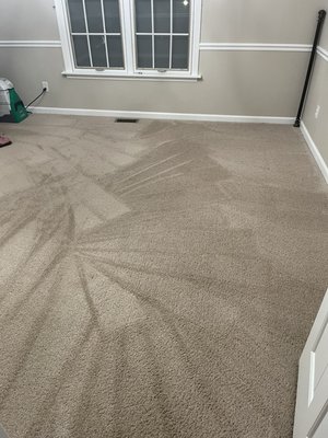 Carpet&& upholstery cleaning - These pics are from about 2 weeks ago. The prices do vary, so please call me ( 314-280-8277/Melissa ) to get you an accurate quote. We run specials all the time!! Also our reoccurring clients get discounts on every additional service. We also donate to NAMI ( National alliance on mental health) Carpet&& upholstery cleaning - These pics are from about 2 weeks ago. The prices do vary, so please call me ( 314-280-8277/Melissa ) to get you an accurate quote. We run specials all the time!! Also our reoccurring clients get discounts on every additional service. We also donate to NAMI ( National alliance on mental health)