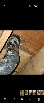 toilet replacements - Call Now for a Free estimate toilet replacements - Call Now for a Free estimate