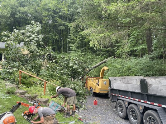 Storm cleanup - This was an emergency removal we performed the tree had taken down her power and communication. Lines and she needed it removed quickly and efficiently so that power crews could come and restore the power to the home