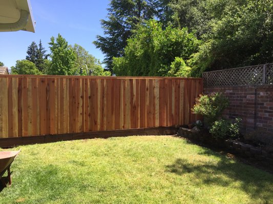 Redwood Board on Board Privacy Fence - Beautiful Redwood board on board privacy fence with Kicker, board on board fences are great in that they allow for no gaps and gives the home true privacy, that 12 inch kicker adds a little extra height so people cant peek over.
