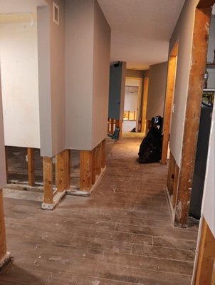 Water Damage 1011 - Addressed severe flood damage from a hurricane, ensuring water removal, mold control, and property repairs.