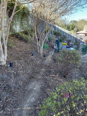 retaining concrete wall - We had to remove the 8x8" timbers and began forming the concrete retaining wall using #4 rebar.