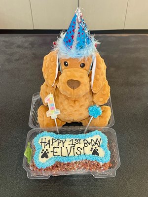 Birthday Parties! - We love to celebrate birthdays, gotcha days, gender reveals, and any celebration that brings joy to your doggies! Birthday Parties! - We love to celebrate birthdays, gotcha days, gender reveals, and any celebration that brings joy to your doggies!