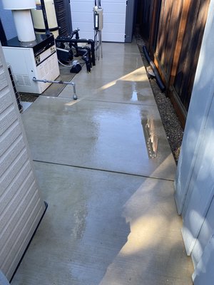 Pressure washing
LIVERMORE, CA - This customer had a rodent issue on his side yard. We took care of it. Pressure washing
LIVERMORE, CA - This customer had a rodent issue on his side yard. We took care of it.