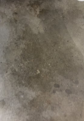 Garage floor cleaning - The garage floor was dirty and stained, using muriatic acid I cleaned it and the customer couldn’t be happier with the results! Garage floor cleaning - The garage floor was dirty and stained, using muriatic acid I cleaned it and the customer couldn’t be happier with the results!