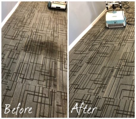 Apartment Building Leasing Office - An apartment building's leasing office is your introduction to new customers. It needs to show your tenants that you take care of the property. In this photo, we have an office that had heavy foot traffic and a stubborn dark patch. Using our Whittaker trio low moisture cleaning system we were able to remove the stain using very little water, and have the carpets clean and dry in under 2 hours. Call us now to get a free consultation and learn how we can help you.