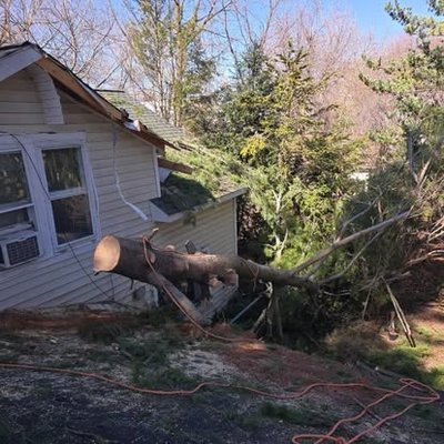 Emergency Storm Cleanup - When storms hit and trees pose a threat, you need a fast, dependable team you can trust. Phillips Tree Service is available for urgent storm cleanup, led by our dedicated team who brings decades of experience in crisis response. We clear debris, handle dangerous limbs, and prioritize your safety and property protection, no matter how big the job. Emergency Storm Cleanup - When storms hit and trees pose a threat, you need a fast, dependable team you can trust. Phillips Tree Service is available for urgent storm cleanup, led by our dedicated team who brings decades of experience in crisis response. We clear debris, handle dangerous limbs, and prioritize your safety and property protection, no matter how big the job.
