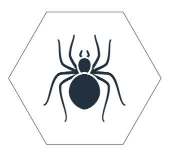 Spiders - Many types of spider species live in the Denver area. The most common of these include black widow spiders, funnel weavers, orb weavers, cellar spiders, and woodlouse spiders. Unlike other types of insects, spiders have eight rather than six legs giving them the unique classification of 'arachnids.'

The best way to prevent spiders from entering the house is to be on the lookout for an underlying pest infestation. You can easily accomplish this by relying on a professional pest control company like Advantage Pest Management. You may also prevent spiders from coming too close to the home by sweeping away webs, reducing clutter, and reducing humidity in the house.