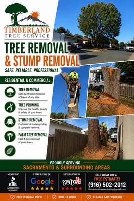 Tree Removal & Stump Removal - 🌳 Tree Removal Services 🌳
Need a tree removed safely and professionally? Timberland Tree Service provides reliable tree removal services for dead, hazardous, unwanted, or overgrown trees. Our crew handles the entire process from cutting and removal to complete cleanup and hauling so your property is left clean and safe.
✔ Safe & Professional Tree Removal
✔ Cleanup & Hauling Included
✔ Residential & Commercial
✔ Licensed, Bonded & Insured
✔ Free Estimates
Contact us today to schedule your free estimate and get your property cleared quickly and professionally.
📍 Serving Sacramento & surrounding areas
📞 Call or Text: 916-502-2012
Timberland Tree Service Tree Removal & Stump Removal - 🌳 Tree Removal Services 🌳
Need a tree removed safely and professionally? Timberland Tree Service provides reliable tree removal services for dead, hazardous, unwanted, or overgrown trees. Our crew handles the entire process from cutting and removal to complete cleanup and hauling so your property is left clean and safe.
✔ Safe & Professional Tree Removal
✔ Cleanup & Hauling Included
✔ Residential & Commercial
✔ Licensed, Bonded & Insured
✔ Free Estimates
Contact us today to schedule your free estimate and get your property cleared quickly and professionally.
📍 Serving Sacramento & surrounding areas
📞 Call or Text: 916-502-2012
Timberland Tree Service