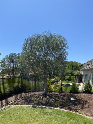 Before and afters - We do what the client wants us to do; we provide safe and clean work. We are more than happy to help many more. Our commitment to quality ensures that every project meets the highest standards. By prioritizing safety, we create an environment where our team can thrive. We believe that our dedication not only satisfies our clients but also fosters long-term relationships built on trust. Together, we can achieve remarkable results that benefit everyone involved. Before and afters - We do what the client wants us to do; we provide safe and clean work. We are more than happy to help many more. Our commitment to quality ensures that every project meets the highest standards. By prioritizing safety, we create an environment where our team can thrive. We believe that our dedication not only satisfies our clients but also fosters long-term relationships built on trust. Together, we can achieve remarkable results that benefit everyone involved.