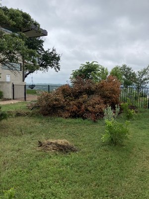 Yard trimming removal. - Yard debris removal was done in Lago Vista. Yard trimming removal. - Yard debris removal was done in Lago Vista.
