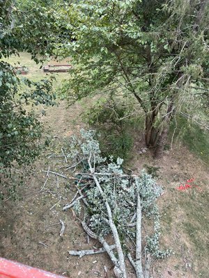 Tree removal. - This tree removal was done e last week. We actually had it easy with this one. Didn’t have to rig up a bunch. Enjoy the pics. Along with some other things this was a pretty neat little job. Thanks to our customer there. Tree removal. - This tree removal was done e last week. We actually had it easy with this one. Didn’t have to rig up a bunch. Enjoy the pics. Along with some other things this was a pretty neat little job. Thanks to our customer there.