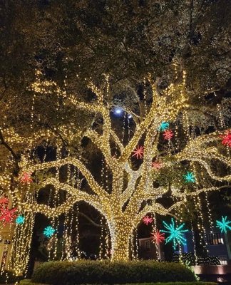 Tree Wrapping - Transforming trees into glowing holiday masterpieces! Our professional tree wrapping brings the magic of the season to life.