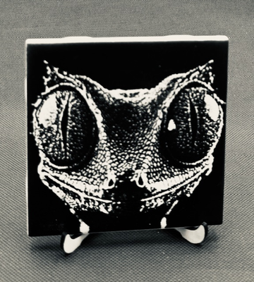 Gecko Close-Up – Tile Engraving - This piece shows SoundCraft Studio's tile engraving process from start to finish. The first photo is the blank tile before engraving; the second reveals the finished piece — a striking close-up gecko portrait with bold black-and-white contrast that captures every scale and the reflective detail in the eyes. This demonstrates the fine texture and detail achievable on ceramic tile, making it a great option for animal lovers, nature enthusiasts, or anyone wanting a distinctive accent piece. Gecko Close-Up – Tile Engraving - This piece shows SoundCraft Studio's tile engraving process from start to finish. The first photo is the blank tile before engraving; the second reveals the finished piece — a striking close-up gecko portrait with bold black-and-white contrast that captures every scale and the reflective detail in the eyes. This demonstrates the fine texture and detail achievable on ceramic tile, making it a great option for animal lovers, nature enthusiasts, or anyone wanting a distinctive accent piece.