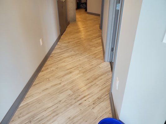 move in/ out Cleaning - move in/ out move in/ out Cleaning - move in/ out