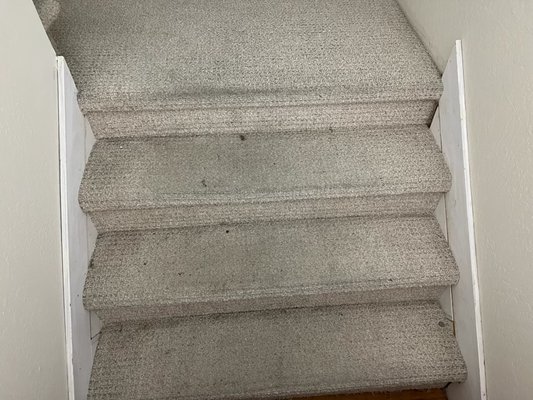 Carpet clean - "This is a carpet Cleaning for one our clients and He love the result"