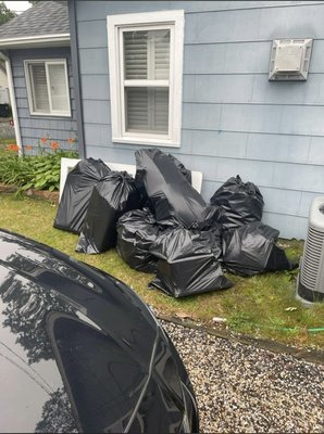 Junk removal - This is multiple junk removal job into one
