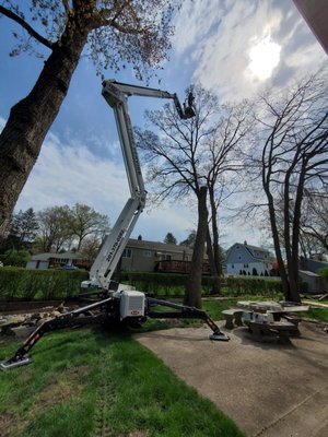 Removal of Dead Tree - This Tree was removed from a customer backyard, homeowner had attempted to removed the tree before but the tree could not be safely climbed and it was out of reach for cranes or bucket trucks so our Spider lift got the job done.