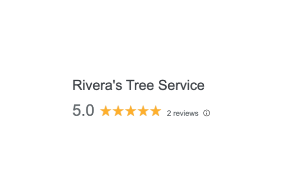 Customer Reviews - At Rivera's Tree Service, we are committed to providing our clients with prompt and reliable services. We offer personalized services that cater to your specific needs. Whether you need commercial or residential tree services, we have you covered. Our team of experts is trained to handle any task with the utmost care, ensuring your trees are healthy, safe, and aesthetically appealing.
But don't take our word for it. See what our customers have to say! Customer Reviews - At Rivera's Tree Service, we are committed to providing our clients with prompt and reliable services. We offer personalized services that cater to your specific needs. Whether you need commercial or residential tree services, we have you covered. Our team of experts is trained to handle any task with the utmost care, ensuring your trees are healthy, safe, and aesthetically appealing.
But don't take our word for it. See what our customers have to say!