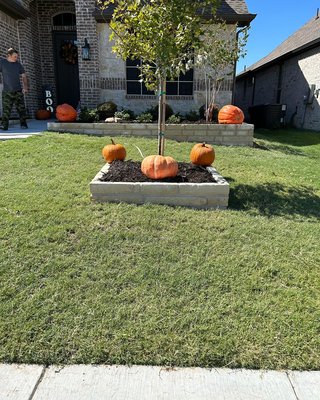 stone border - Put some definition into the yards by adding stone borders stone border - Put some definition into the yards by adding stone borders