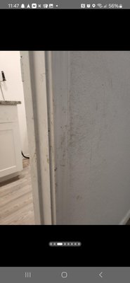 House cleans from last Month - taking the mess and turning it into a new replenished room. these photos are before and after from cleans in the previous month. I'm happy to clean your home any day or time you want. Call today for a free estimate House cleans from last Month - taking the mess and turning it into a new replenished room. these photos are before and after from cleans in the previous month. I'm happy to clean your home any day or time you want. Call today for a free estimate