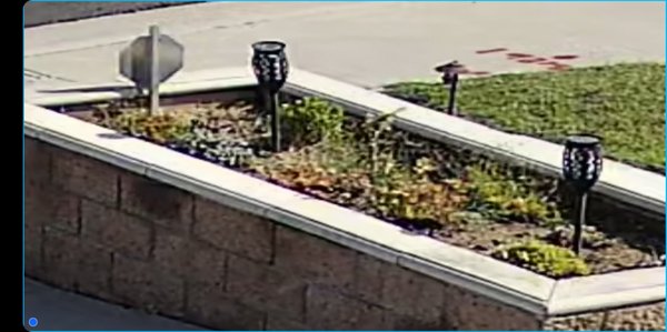 Residential 2K IP Camera Installation - Variety of Ultra-HD IP Camera Installation for residential customer Residential 2K IP Camera Installation - Variety of Ultra-HD IP Camera Installation for residential customer