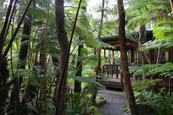 Skylight House - Above the open living space is a 6 ft skylight dome. The house has windows on all sides that look out into the native Hawaiian rain forest property. Secluded in the 1 1/2 acres of forest are the private B&B guest cottages and hot tubs.
Attached to the Skylight House is a six-sided redwood master bedroom, with a skylight and propane fireplace. The passageway to the bedroom includes a small home office space for guests to use with their devices.
Through the french doors off the master bedroom is a secluded forested area with a small deck and garden. On the small deck is a private O’furo Japanese soaking tub. In that forested garden area is a private outside lava rock shower. Both the o’furo soaking tub and outside shower are for the Skylight House only.
Amenities
Intimate 900 sq. ft. of charming living space
Open plan living
6 ft skylight dome
700 sq. ft. skylit deck
Queen bed in master bedroom under skylight
Breakfast in the privacy of your own cottage
Cozy sky-lit kitchen
Two floor futons with additional bedding
Outdoor covered deck with private Japanese o'furo soaking tub
Outdoor lava rock rain shower
Interior bathroom shower
Shower products, hairdryer
Warm comfortable robes
Romantic gas fireplace in master bedroom
Wine glasses and bottle opener
High-Speed Wireless Internet
DVD & CD selection
Iron and ironing board
Flashlights, headlamps, umbrellas
Safe for valuables
Guest parking and private carport Skylight House - Above the open living space is a 6 ft skylight dome. The house has windows on all sides that look out into the native Hawaiian rain forest property. Secluded in the 1 1/2 acres of forest are the private B&B guest cottages and hot tubs.
Attached to the Skylight House is a six-sided redwood master bedroom, with a skylight and propane fireplace. The passageway to the bedroom includes a small home office space for guests to use with their devices.
Through the french doors off the master bedroom is a secluded forested area with a small deck and garden. On the small deck is a private O’furo Japanese soaking tub. In that forested garden area is a private outside lava rock shower. Both the o’furo soaking tub and outside shower are for the Skylight House only.
Amenities
Intimate 900 sq. ft. of charming living space
Open plan living
6 ft skylight dome
700 sq. ft. skylit deck
Queen bed in master bedroom under skylight
Breakfast in the privacy of your own cottage
Cozy sky-lit kitchen
Two floor futons with additional bedding
Outdoor covered deck with private Japanese o'furo soaking tub
Outdoor lava rock rain shower
Interior bathroom shower
Shower products, hairdryer
Warm comfortable robes
Romantic gas fireplace in master bedroom
Wine glasses and bottle opener
High-Speed Wireless Internet
DVD & CD selection
Iron and ironing board
Flashlights, headlamps, umbrellas
Safe for valuables
Guest parking and private carport