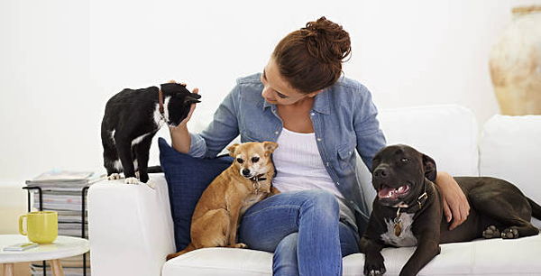 Loving In-Home Pet Sitting - Pet Sitting: $25 / 30 mins.
At Lana Pet Care, we understand that your pets are family. Our in-home pet sitting services offer a comforting alternative to boarding, allowing your pets to stay in the safety and familiarity of their own home while you're away. We provide personalized care tailored to your pet's unique needs, including feeding, dog walks, playtime, and administering any necessary medications. With us, you can travel with peace of mind, knowing that your pets are receiving loving and attentive care. Our dedication extends to looking after your home as well—watering plants, collecting mail, and ensuring everything is secure. Trust Lana Pet Care to treat your pets and home with the utmost care and respect.
Ready to give your pets the best care while you're away? Contact Lana Pet Care today to schedule your in-home pet sitting services. Let us provide the love and attention your pets deserve! Call/text (408) 483-7129 today! Loving In-Home Pet Sitting - Pet Sitting: $25 / 30 mins.
At Lana Pet Care, we understand that your pets are family. Our in-home pet sitting services offer a comforting alternative to boarding, allowing your pets to stay in the safety and familiarity of their own home while you're away. We provide personalized care tailored to your pet's unique needs, including feeding, dog walks, playtime, and administering any necessary medications. With us, you can travel with peace of mind, knowing that your pets are receiving loving and attentive care. Our dedication extends to looking after your home as well—watering plants, collecting mail, and ensuring everything is secure. Trust Lana Pet Care to treat your pets and home with the utmost care and respect.
Ready to give your pets the best care while you're away? Contact Lana Pet Care today to schedule your in-home pet sitting services. Let us provide the love and attention your pets deserve! Call/text (408) 483-7129 today!