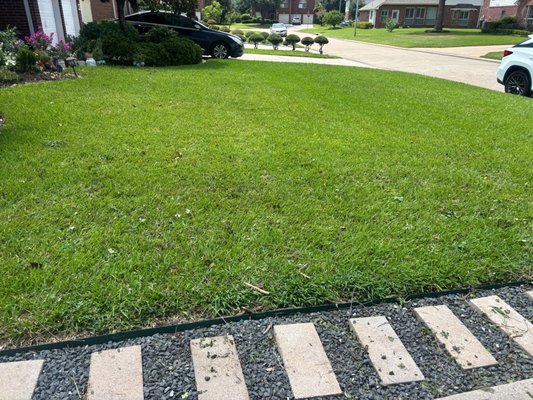Plant and Junk Removal - Plant and Junk Removal