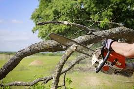 Call or Email To Book Today! - Contact us today by phone or email! Our email is leefriendstree@gmail.com.
Lee Friends Tree Service is the premier tree service business in the Greater Atlanta and Northeast Metro Area. We're a family-owned company that was started more than 20 years ago, thanks to Owner Lee Friends great love of the outdoors. All small debris produced on a daily basis is sent through our wood chipper and turned into chips, which we give away and deliver to our customers and our community. We have also created a partnership with a wood recycling company that specializes in turning wood debris into mulch. Call or Email To Book Today! - Contact us today by phone or email! Our email is leefriendstree@gmail.com.
Lee Friends Tree Service is the premier tree service business in the Greater Atlanta and Northeast Metro Area. We're a family-owned company that was started more than 20 years ago, thanks to Owner Lee Friends great love of the outdoors. All small debris produced on a daily basis is sent through our wood chipper and turned into chips, which we give away and deliver to our customers and our community. We have also created a partnership with a wood recycling company that specializes in turning wood debris into mulch.