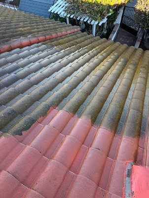 Roof renovation - Thinking about replacing your entire roof? Many of our clients did before discovering our effective mold removal services! Contact us today and let us help your home stand out like never before.