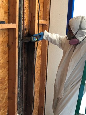 Mold Remediation - Los Angeles, CA - Check out the team at SOS Restoration while they perform an inspection for mold and water damage and begin the remediation process at this Los Angeles Home. This is a project in progress so stay tuned to see the progress and results!