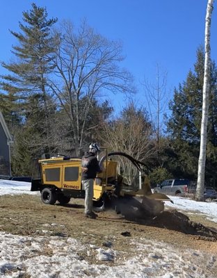 Stump Grinding - Do not let stumps stick around in your yard. C.T. Tree Service LLC can take care of the stump grinding you need. We will grind down your stumps to mulch so you do not have to deal with them. We use a state-of-the-art Vermeer stump grinder, making us unique among tree care companies.