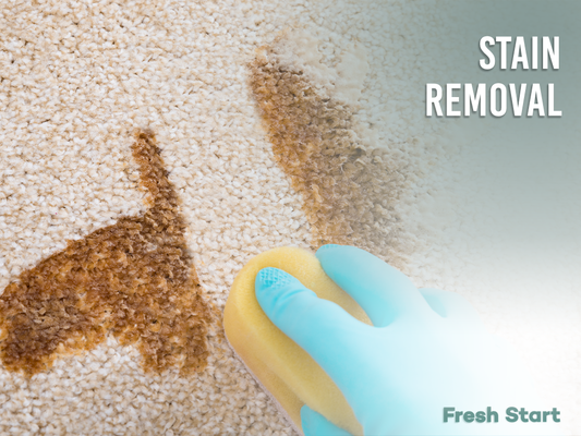 Stain Removal Service - Stain Removal Service Stain Removal Service - Stain Removal Service