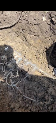 Mainline leak at valves - Was called out for a simple spring turn on and was warned of a high water bill prior to the previous companies winterization. I was told that it had been occurring for a few seasons in a row now. After digging up and exposing, we found a very small pinhole leak, it was draining into the French drain so the accumulation of water was never there! Mainline leak at valves - Was called out for a simple spring turn on and was warned of a high water bill prior to the previous companies winterization. I was told that it had been occurring for a few seasons in a row now. After digging up and exposing, we found a very small pinhole leak, it was draining into the French drain so the accumulation of water was never there!