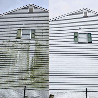 Exterior House Washing – Mold Removal - Exterior house siding deep cleaned to remove mold, mildew, and dirt buildup. Safe pressure washing left the surface looking brand new again!
