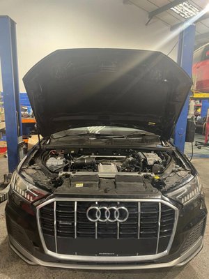 Domestic, European & Import Vehicle Repair - From routine maintenance to complex diagnostics and major repairs, S-Tier Auto Repair services domestic, European, and import vehicles. Whether you drive a Ford, Chevrolet, RAM, Dodge, Jeep, Toyota, Honda, Nissan, Lexus, BMW, Mercedes-Benz, Audi, Volkswagen, or many other makes, our experienced technicians use professional equipment and the latest diagnostic technology to accurately identify and repair the problem. No matter what you drive, we're committed to providing honest, dependable service and quality workmanship. Domestic, European & Import Vehicle Repair - From routine maintenance to complex diagnostics and major repairs, S-Tier Auto Repair services domestic, European, and import vehicles. Whether you drive a Ford, Chevrolet, RAM, Dodge, Jeep, Toyota, Honda, Nissan, Lexus, BMW, Mercedes-Benz, Audi, Volkswagen, or many other makes, our experienced technicians use professional equipment and the latest diagnostic technology to accurately identify and repair the problem. No matter what you drive, we're committed to providing honest, dependable service and quality workmanship.