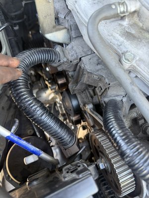 Honda Timing Job - This was a 2011 Honda accord that needed a timing job done. The client supplied the timing kit and job was done the same day! Honda Timing Job - This was a 2011 Honda accord that needed a timing job done. The client supplied the timing kit and job was done the same day!
