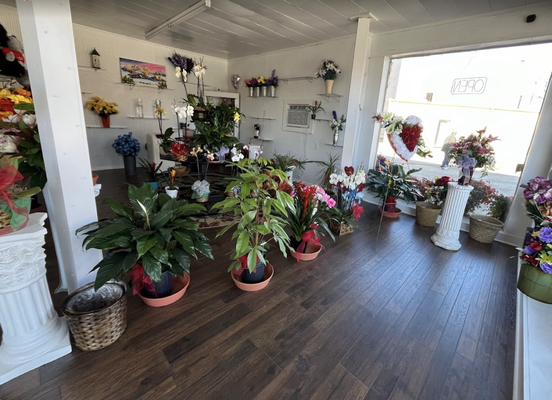 About Freedom Flowers - Hello Anniston and surrounding community, we're deeply honored to continue the tradition of Pinson Flowers, at 1322 Wilmer Ave. With utmost respect for their legacy of exceptional service, we humbly seek your support as we embark on this journey.
As love fills the air, Valentine's Day approaches! 💕 Surprise your beloved with a radiant bouquet from Freedom Flowers. Visit us, call (256) 237-9579, or order online at freedomflowersflorist.com to spread the love! About Freedom Flowers - Hello Anniston and surrounding community, we're deeply honored to continue the tradition of Pinson Flowers, at 1322 Wilmer Ave. With utmost respect for their legacy of exceptional service, we humbly seek your support as we embark on this journey.
As love fills the air, Valentine's Day approaches! 💕 Surprise your beloved with a radiant bouquet from Freedom Flowers. Visit us, call (256) 237-9579, or order online at freedomflowersflorist.com to spread the love!