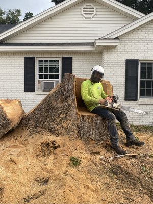 Large Tree Removal - There are several reasons why you might consider removing a tree. Here are some common factors that may warrant tree removal:
Safety concerns: If a tree poses a significant safety risk, removal may be necessary.
Disease or pest infestation: Trees that are infected with severe diseases or infested by pests may need to be removed to prevent the spread of the problem to other healthy trees nearby.
Structural instability: Trees with weak or compromised structural integrity, such as extensive root damage or trunk decay, may become unstable and prone to toppling.
Interference with structures or utilities: Trees that are growing too close to buildings, power lines, or other structures can cause damage or pose a hazard.
Encroachment or overcrowding: In certain situations, trees may become overgrown and overcrowded, leading to competition for resources like sunlight, water, and nutrients.
Landscape or construction considerations: If you're planning construction or landscaping projects that require clearing space, tree removal may be necessary to accommodate the new design or development. Large Tree Removal - There are several reasons why you might consider removing a tree. Here are some common factors that may warrant tree removal:
Safety concerns: If a tree poses a significant safety risk, removal may be necessary.
Disease or pest infestation: Trees that are infected with severe diseases or infested by pests may need to be removed to prevent the spread of the problem to other healthy trees nearby.
Structural instability: Trees with weak or compromised structural integrity, such as extensive root damage or trunk decay, may become unstable and prone to toppling.
Interference with structures or utilities: Trees that are growing too close to buildings, power lines, or other structures can cause damage or pose a hazard.
Encroachment or overcrowding: In certain situations, trees may become overgrown and overcrowded, leading to competition for resources like sunlight, water, and nutrients.
Landscape or construction considerations: If you're planning construction or landscaping projects that require clearing space, tree removal may be necessary to accommodate the new design or development.