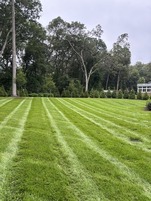 Green, healthy, striped lawns - Want your lawn to stand out? Call us today to get your lawn in tip top shape.